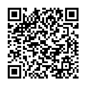 也只剩下了黑龙们粗重的呼吸声以及翅膀扇动的声音二维码生成