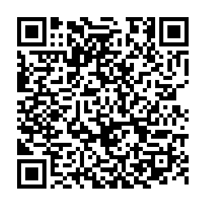 也只是在浪费时间和金钱……如果小烽到时候真的考不上好的大学二维码生成