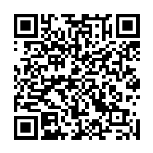 也只有佛门那些念经念坏了脑子的秃驴才敢收留这些家伙了二维码生成