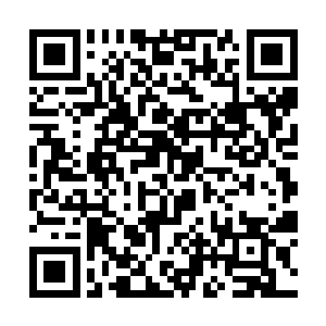 也只有在宗门闭关不处直修炼的长老才有那般的修为二维码生成