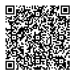 也只有墨总管这个虽然是学武的出身却一直做着学文的活儿的人才能将黑色的劲装传的如此英气又儒雅二维码生成