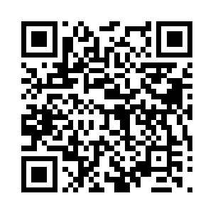 也只有她能一眼看出这一截小树苗的来历二维码生成