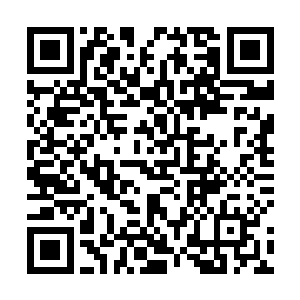 也只有将这几件残缺的魔化物品完全丢弃在秘境里面了二维码生成