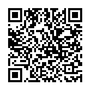 也只细微察觉到了四周空间似有一些不同寻常的变化二维码生成