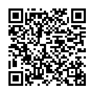 也只能用这种最直白没有感情的话安慰安蓉蓉和范晓晓二维码生成