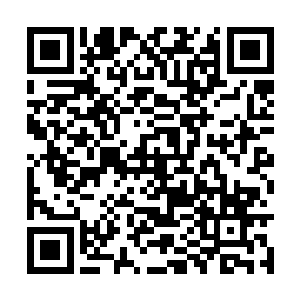 也可想见其是时常被那些魔修弟子鞭打折磨过的人二维码生成