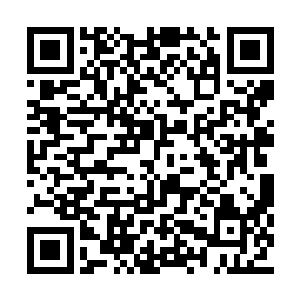 也同样十分的惊讶洪天照的修为竟然如此的厉害二维码生成