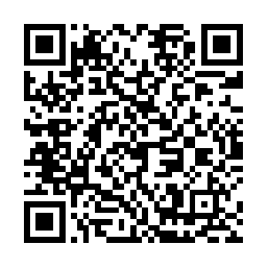 也因为长的美而且性格单纯致使周围的人也挺喜欢她的二维码生成