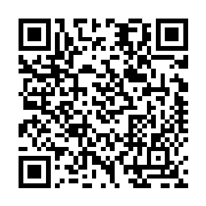 也因此两个月多的时间让梵蒂冈人马恐怖增加了好几倍二维码生成