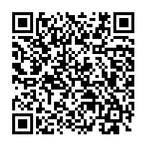 也在下一个版本中将大虫子的大招伤害还有技能消耗的蓝量给消弱了二维码生成