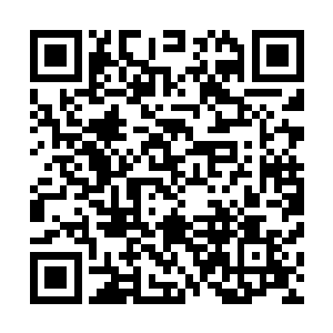也好解了南耀国朝堂上下尤其是我们这些个老臣心里的疑惑二维码生成