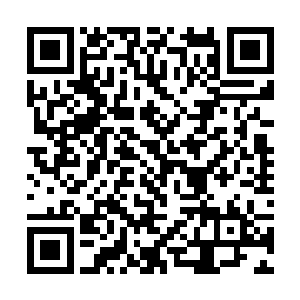 也好让这满院子粗鄙的家僮学学你那些个高贵的仪态二维码生成