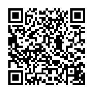 也完全是因为众人觉得替病重的董姨娘递信完全没有油水可捞二维码生成