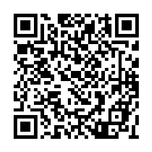 也完全有可能杀死霹雳世界或拳皇世界中的强者二维码生成