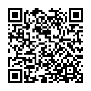 也就不会有那么多人停留在人阶巅峰好长一段时间二维码生成