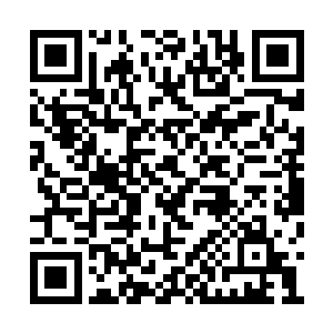 也就他和其它三个大地级的火羽族勉强有些作用二维码生成