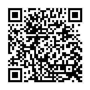 也就只有一支人马可以调动……但这支人马若是调动出发之后二维码生成
