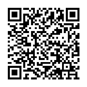 也就只有像苏紫萱这样为数不多的几个弄不到手二维码生成