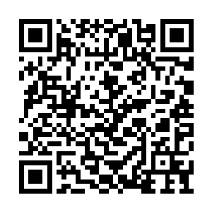 也就在我和奶奶随着阿福立在蛇窟边上的时间段二维码生成