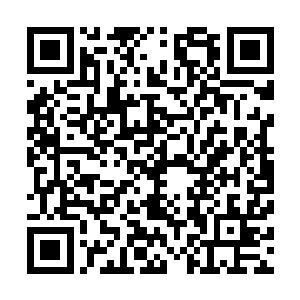 也就在这一瞬……他从探测器上看到了一个匪夷所思的数字二维码生成