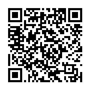 也就是从这条通体血红的异种蟒蛇的身上散发出来二维码生成