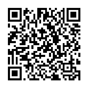 也就是原来长蒂的地方还冒出了一小枚只有米粒大小二维码生成