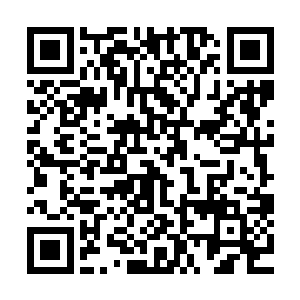 也就是叶笑龙儿子的真正父亲紫龙王也才不过不灭境高阶而已二维码生成