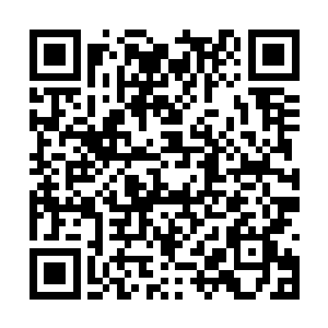 也就是在师尊要我到玲珑仙塔内取得诛仙弓的时候二维码生成