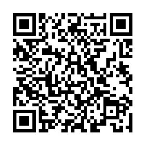 也就是孙子轩的抗击打能力在地府中已经被练出来了二维码生成