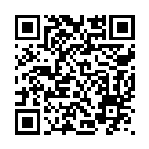 也就是平时献血这样一袋就足够了二维码生成