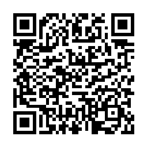 也就是玄学界修士们只闻其名的终南山九大草庐二维码生成