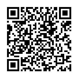 也就是现在的lcd战队实力已经有了翻天覆地的变化二维码生成