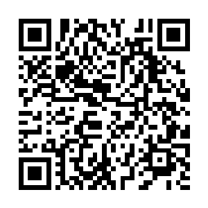 也就是由杨家这样千千万万的家族的牺牲汇聚成的二维码生成