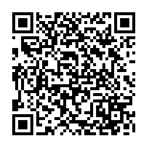 也就是蛋族研究院的研究员天天驾驶着机甲在咏元市的各个小岛上空转圈圈二维码生成