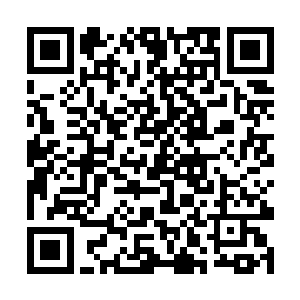 也就是说――屠舒瀚说他是不是要在陇南城里探什么二维码生成