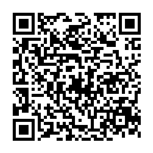 也就是说……也许我的这些大学同学死亡其实和我半点关系都没有二维码生成