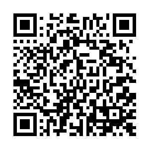 也就是说只取二人在所有试炼场地中的最高名次互相比较二维码生成