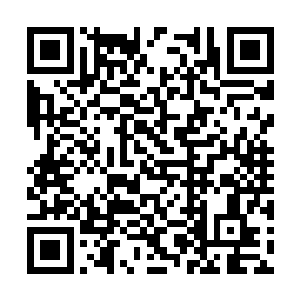 也就是说它一天单单吃饭就要花上一千二百两左右二维码生成