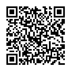 也就是说深海黑血鲸可以统帅其他血统跟实力不如它的海兽二维码生成