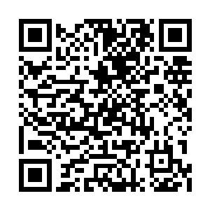 也就是说现在大虫子每个技能的耗蓝增加了许多二维码生成