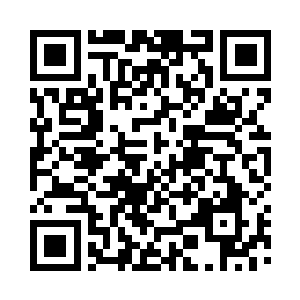 也就是说紫级的突破也就是细胞变异的过程二维码生成