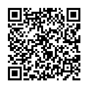 也就是说自己现在的身份是这个世界曾经的主角二维码生成