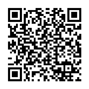 也就是那位被葬天冥尊亲手埋葬的那位无限接近大天尊境界二维码生成