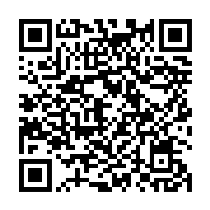 也就知道你阜头县财政能按期支付工程款那就是在蒙入二维码生成