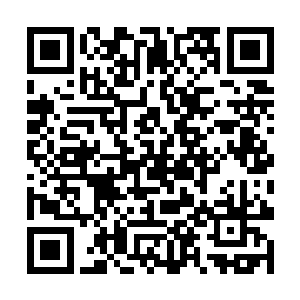 也就表示这些人以后也就只能当一个本分的老实人了二维码生成