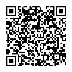 也就说光骨煞储物戒中的六品灵晶数量就够小型灵晶矿脉开采个五千年二维码生成