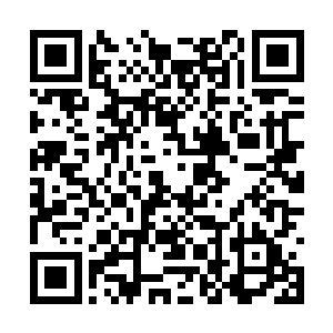 也就难怪每一次的鸿蒙入侵会带来这么大的痛苦了二维码生成