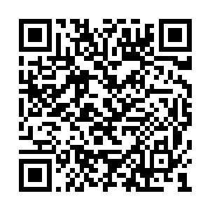 也希望下一次我们诚得拍卖行还能有幸接待各位二维码生成