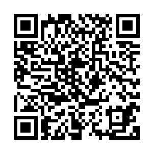 也希望专案组能对我们日后在类似工作中提出一些有益的建议二维码生成