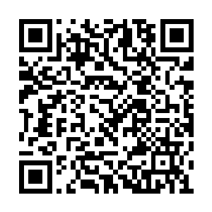 也并没有太大的力气把剑刺进去――秦洛会受伤二维码生成